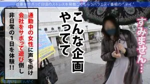 小花のん企画説明